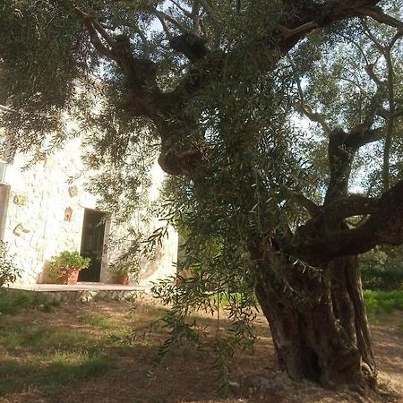 Olive Trees Villa Tragaki Luaran gambar